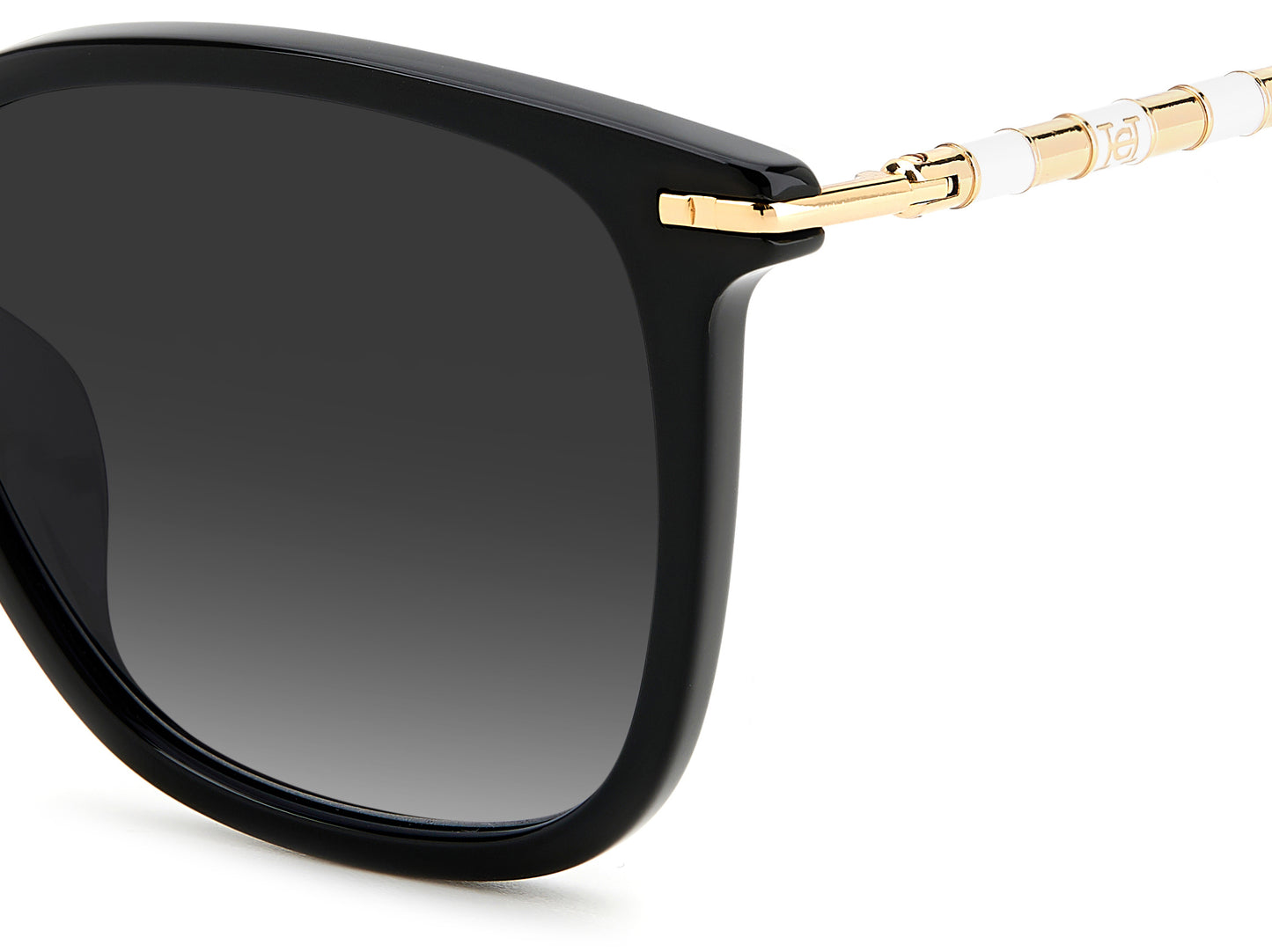 Colour: Black - Carolina Herrera HER 0100/G/S detail view