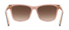 Carrera 3001/s