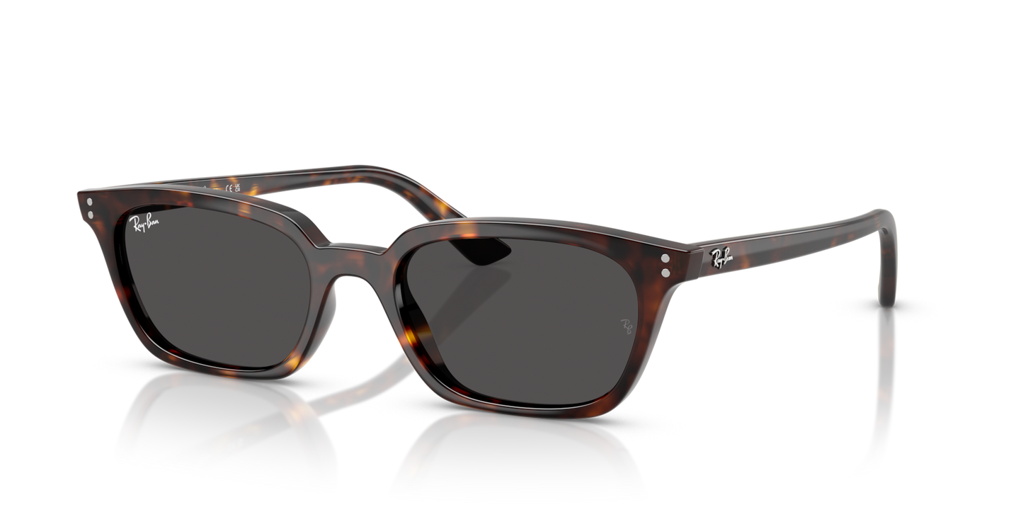 Ray-Ban Zaya Bio-Based RB4456 Sunglasses angle view - Colour: Polished Havana / Dark Grey