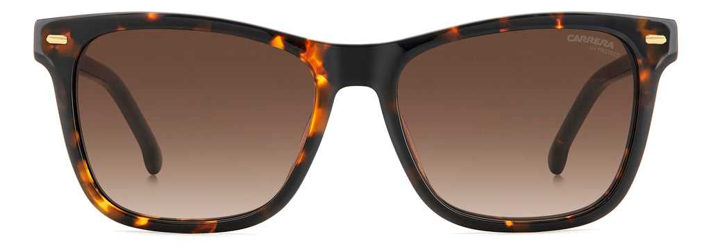 Carrera 3001/s sunglasses - view 10 - Colour: Havana
