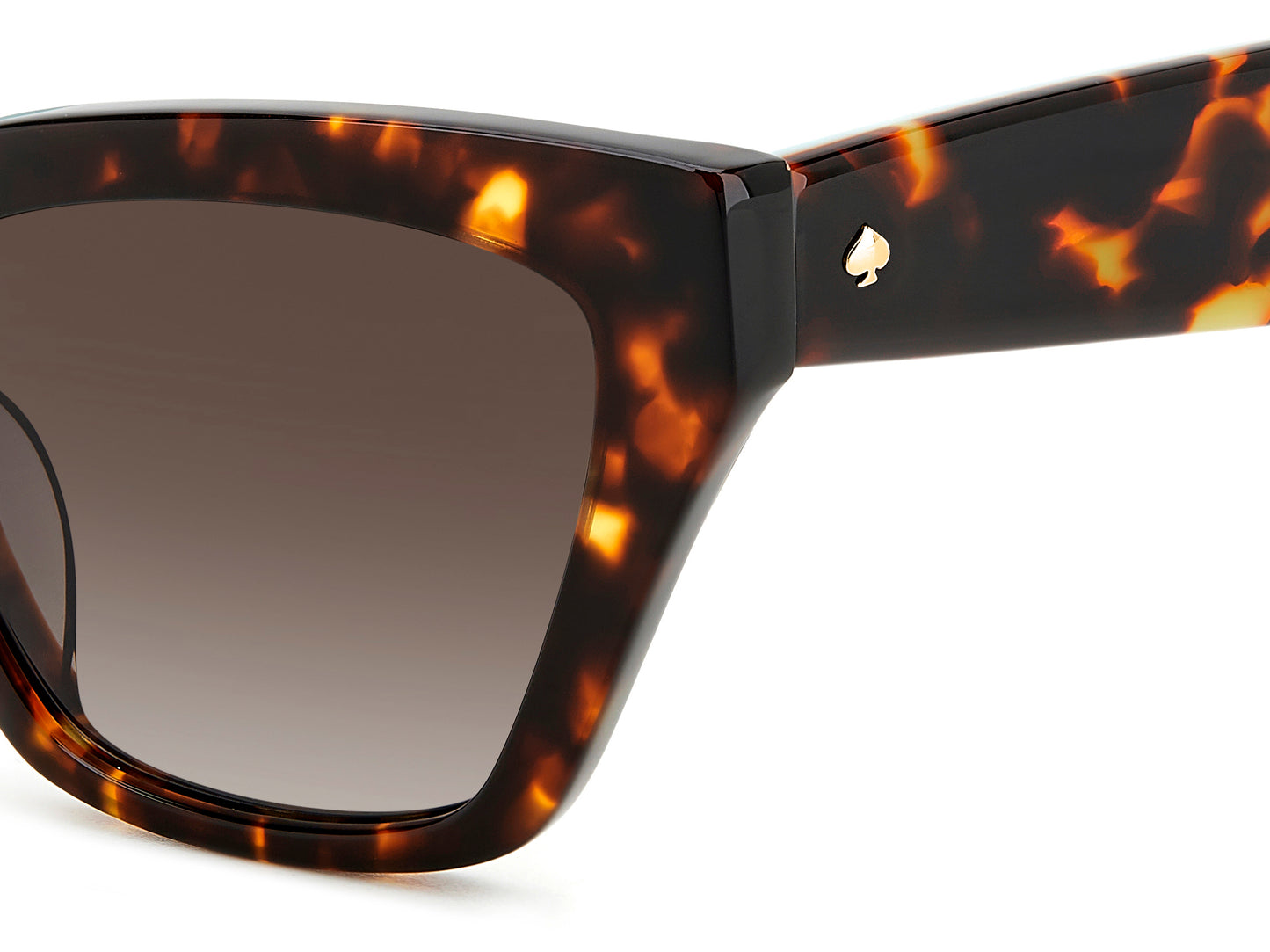 Kate Spade Fay/G/S sunglasses - frame detail view - Colour: Tortoise Shell
