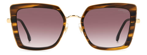 Carrera 3031/S - Brown Horn