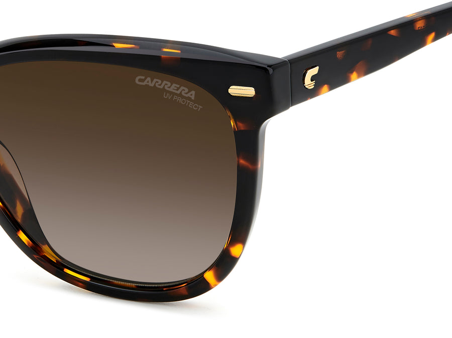 Carrera 3043/S sunglasses - view 6 - Colour: Havana