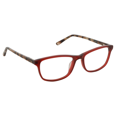 Charlie Brown 4323 - Burgundy Tortoise