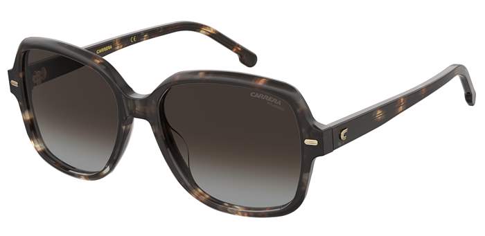 Tortoise Shell / Polarised - Colour: Tortoise Shell