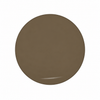 Brown solid tint lens