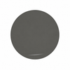 Grey solid tint lens