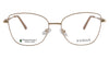 Evoque 8248 Cream / Gold optical frame, front view