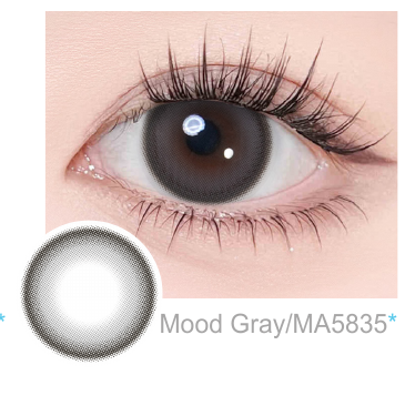 Magister Lumina 14.2 mm Mood Gray coloured contact lenses