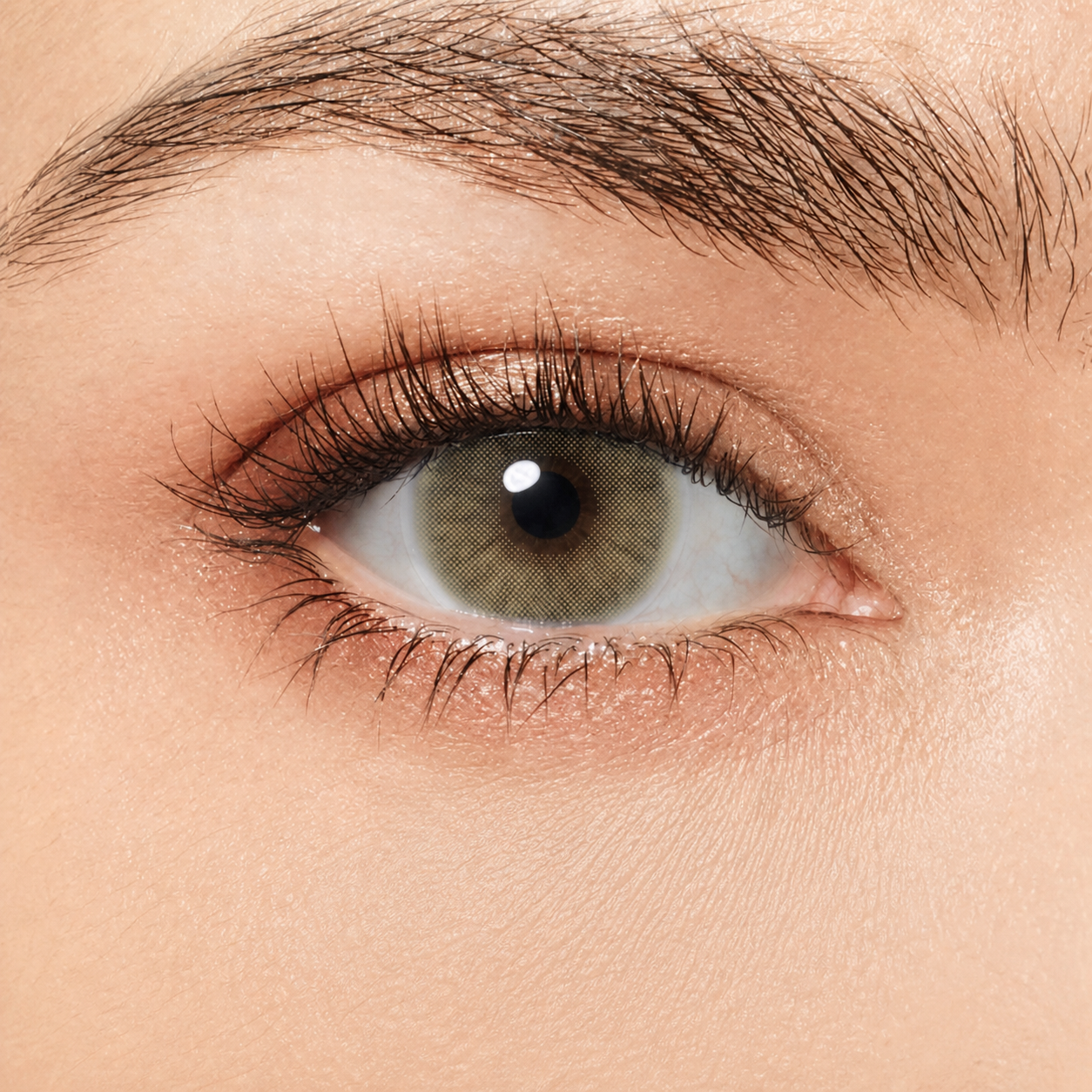 Magister Queen Coloured Contact Lenses – Amber on eye