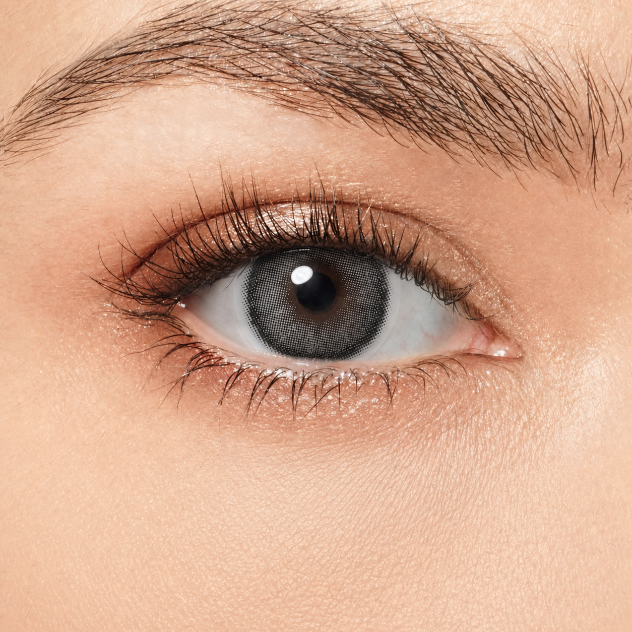 Magister Roze Coloured Contact Lenses – Charcoal Gray on eye