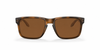 Oakley Holbrook Sunglasses front view - Colour: Matte Tortoise - Lens: Brown solid tint - Media: Custom Polarised Brown solid tint
