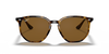 Ray-Ban RB4306 Sunglasses front view - Colour: Light Havana / Brown Polarised