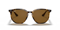 Ray-Ban RB4306 Sunglasses front view - Colour: Light Havana / Brown Polarised