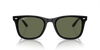 Ray-Ban RB4420 Sunglasses front view - Colour: Polished Black / Dark Green Polarised