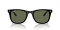 Ray-Ban RB4420 Sunglasses front view - Colour: Polished Black / Dark Green Polarised