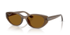 Ray-Ban RB4457D Bio-Based Sunglasses angle view - Colour: Polished Transparent Brown / Dark Brown Polarised