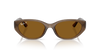 Ray-Ban RB4457D Bio-Based Sunglasses front view - Colour: Polished Transparent Brown / Dark Brown Polarised