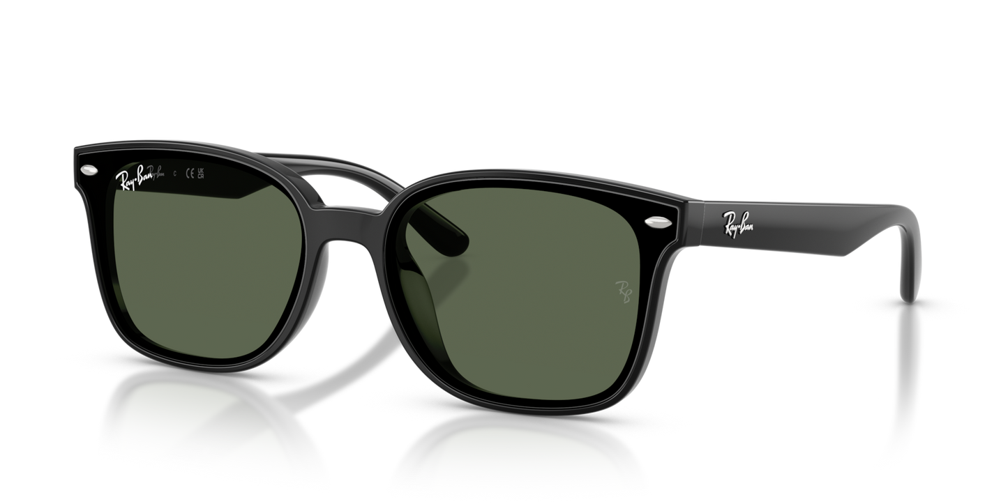 Ray-Ban RB4461D Low Bridge Fit Sunglasses angle view - Colour: Polished Black / Dark Green