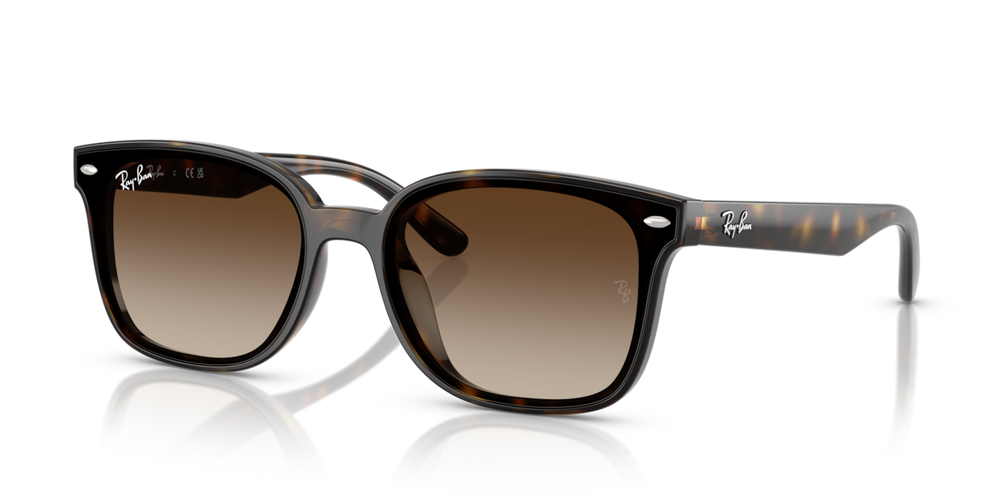 Ray-Ban RB4461D Low Bridge Fit Sunglasses angle view - Colour: Polished Havana / Brown Gradient