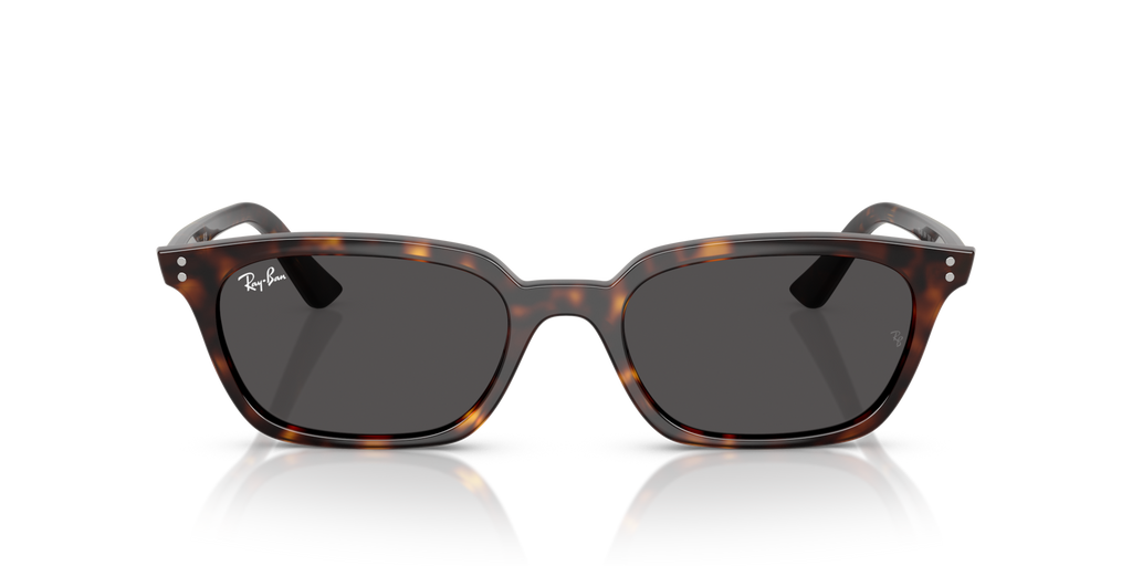 Ray-Ban Zaya Bio-Based RB4456 Sunglasses front view - Colour: Polished Havana / Dark Grey