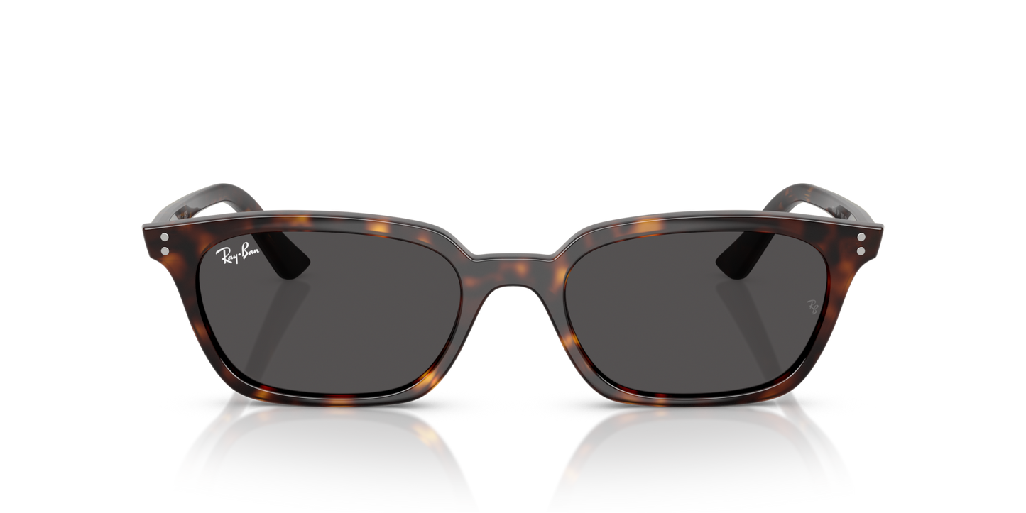 Ray-Ban Zaya Bio-Based RB4456 Sunglasses front view - Colour: Polished Havana / Dark Grey