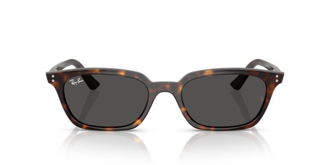 Ray-Ban Zaya Bio-Based RB4456 Sunglasses - Polished Havana / Dark Grey