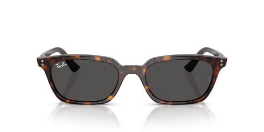 Ray-Ban Zaya Bio-Based RB4456 Sunglasses front view - Colour: Polished Havana / Dark Grey