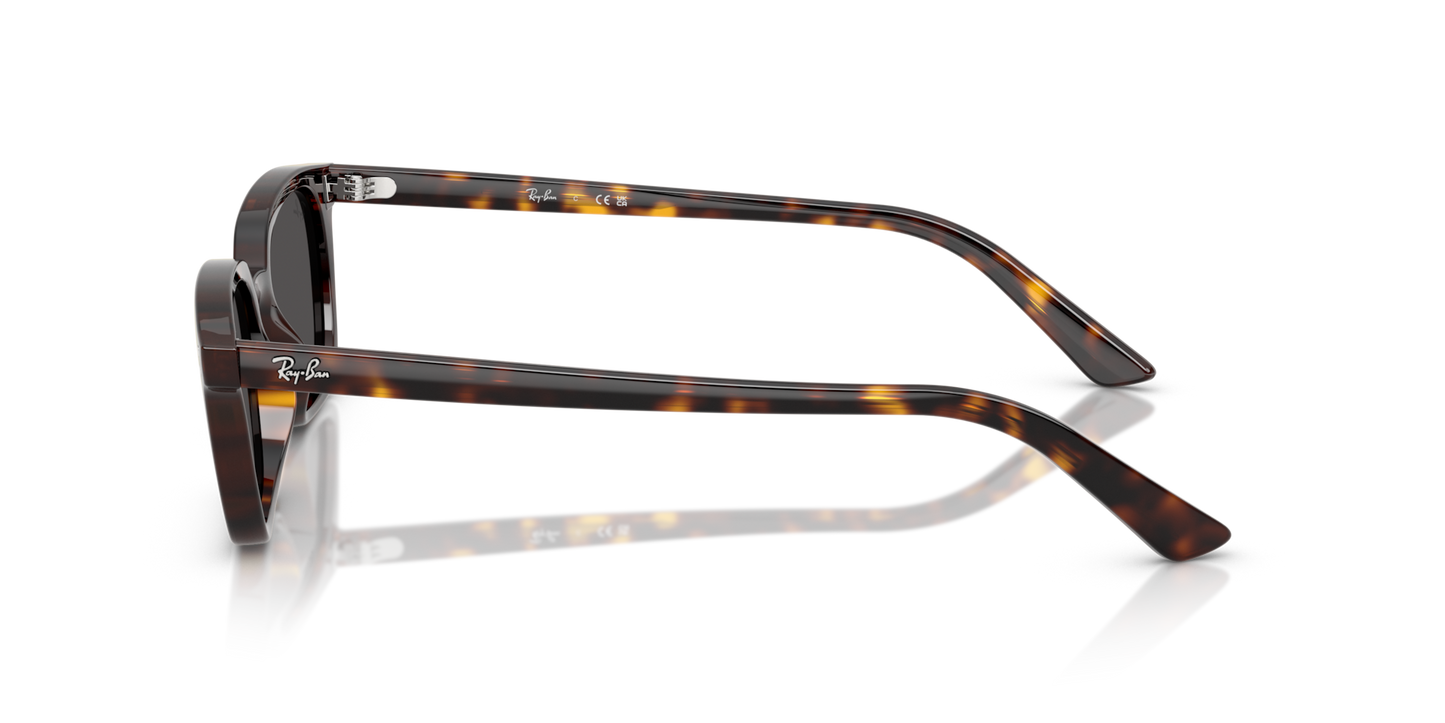 Ray-Ban Zaya Bio-Based RB4456 Sunglasses side view - Colour: Polished Havana / Dark Grey