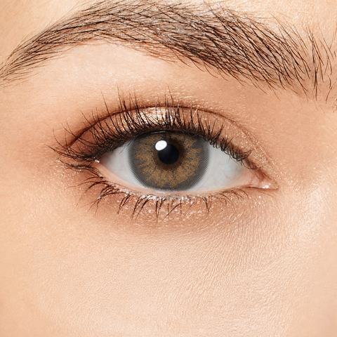 Magister Desire II Amber Gray coloured contact lens worn on eye
