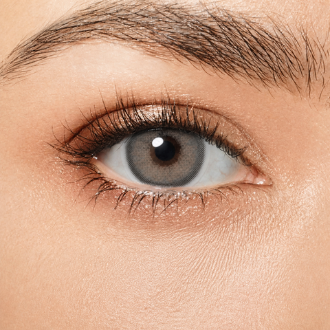 Magister Desire II Euro Gray coloured contact lens worn on eye