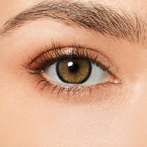 Magister Diamond N Candy Brown coloured contact lens worn on eye