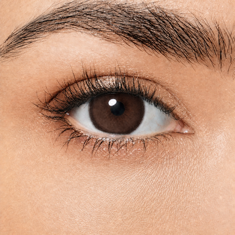 Magister Lumina Honey Coco coloured contact lens worn on eye