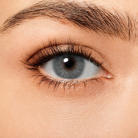 Magister Queen Graphite coloured contact lens worn on eye