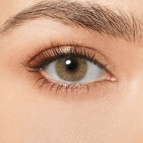 Magister Queen Ochre coloured contact lens worn on eye